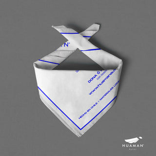 Pañuelo Huaman Autor AZUL