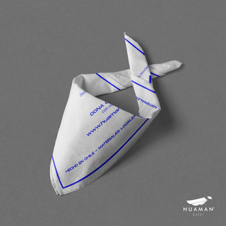 Pañuelo Huaman Autor AZUL